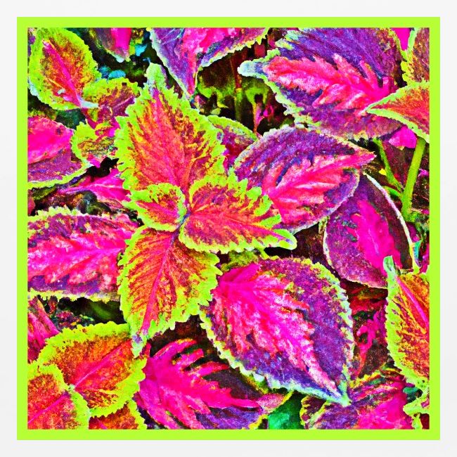 Vivid ChromaLeaf Harmony Pattern