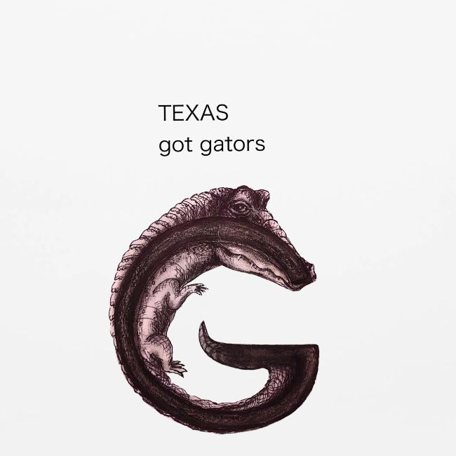Texas gator