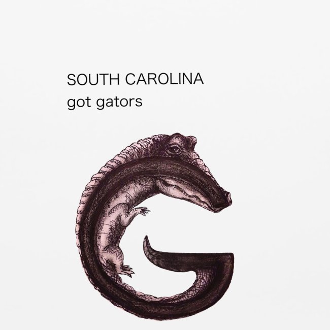 South Carolina gator