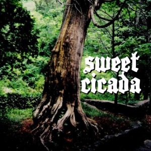 Sweet Cicada Tree Button