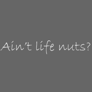 Puzzle of Life / Ain't Life Nuts