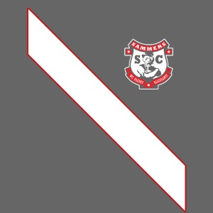 2010 sash png