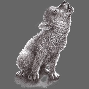 Cute howling grey wolf drawing art