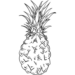 UNDV - Pineapple Basic