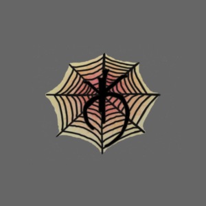 SpiderWeb Logo