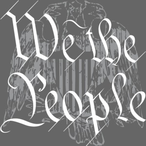 We The People _Grey-transparent background