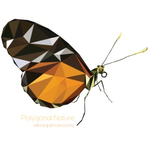 poligon_butterfly_1
