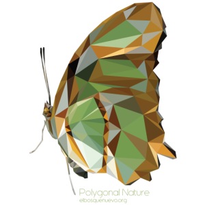 polygon butterfly EBN