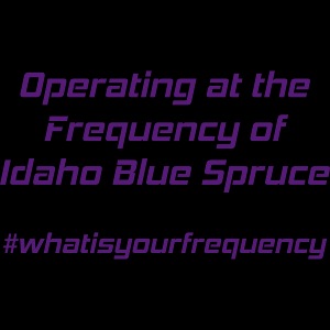 What is Your Frequency -