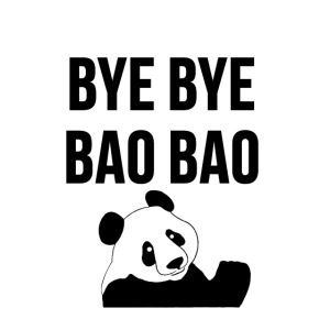 BYE BYE BAO BAO The Cute Trending Panda Tee