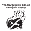Burn the Confederate Flag