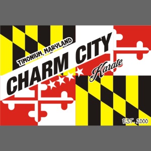 Charm City Karate Flag Phone Case