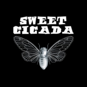 Sweet Cicada Bug Button