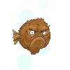 Grouchy Fish