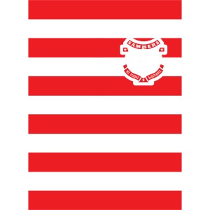 red on blue2 copy png