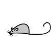 mouse
