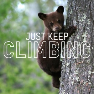 Just Keep Climbing