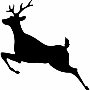 Caution - Deer Crossing