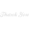 Thank You!