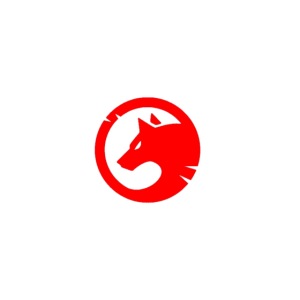 RG logo red