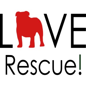 Love Rescue English Bulldog