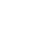 Cougar Tiger Face