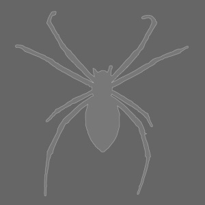 Giant Gray Spider