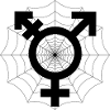 Trans support