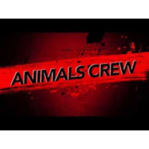 Animals Crew