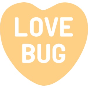 Love Bug Orange Candy Heart