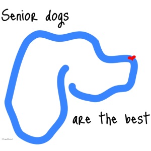 Senior Dogs are the Best