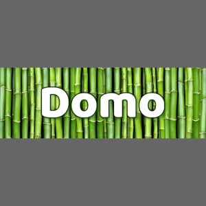 Dome box logo