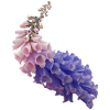 flume skin