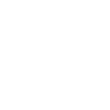 Artist