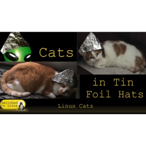 Cats in Tin Foil Hats