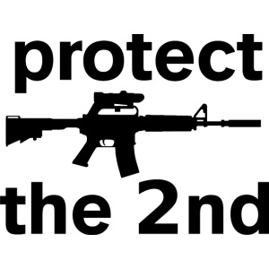 PROTECT THE 2ND