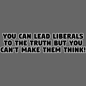 LIBERALS CAN'T THINK