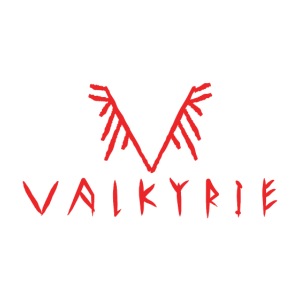 Valkyrie Rune Logo (red)