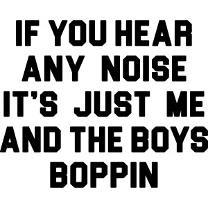 If You Hear Any Noise // Me and the Boys Boppin