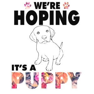 We are hoping it`s a Puppy