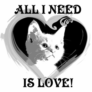 All that kitty need is LOVE!