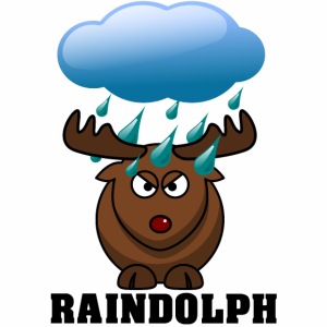Raindolph the red nosed reindeer Deer Gift Idea