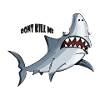 shark