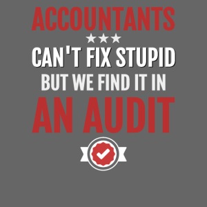 Accountants Can't Fix Stupid Audit Accounting