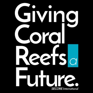 Giving Coral Reefs a Future