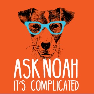 Ask Noah Christian Funk