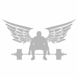 Grind to Fly GRAY LOGO