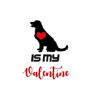 Dog is my Valentine