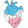 Trans Heart