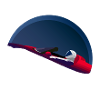 SpaceX Tesla Starman